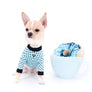 Liam Marcus Teacup Short Muzzle SC Boy