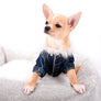Liam Marcus Teacup Short Muzzle SC Boy