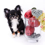 Birkin Doll Extreme Short Muzzle Boy