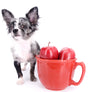 Marly Blue Merle LC Teacup Boy