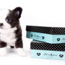 Rome Blue Lavender Blue Eyes Micro