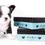 Rome Blue Lavender Blue Eyes Micro