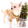 Liam Marcus Teacup Short Muzzle SC Boy