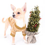 Liam Marcus Teacup Short Muzzle SC Boy