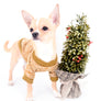 Liam Marcus Teacup Short Muzzle SC Boy