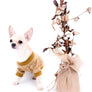 Liam Marcus Teacup Short Muzzle SC Boy