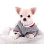 Suri Micro Teacup LC White Boy