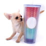 Akita Extreme Short Muzzle Girl