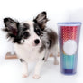 Marley Blue Merle LC Boy