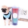 Milan West Teacup SC Blue Fawn Boy