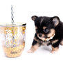 Melanie Micro Teacup Tricolor Girl