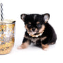 Melanie Micro Teacup Tricolor Girl
