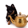Carrie Micro Teacup LC Girl