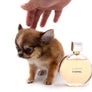 Adele Extreme Short Muzzle Doll Face Micro Girl