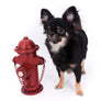 Boo Extreme Doll Face short Muzzle