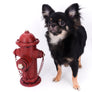 Boo Extreme Doll Face short Muzzle