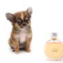 Adele Extreme Short Muzzle Doll Face Micro Girl