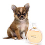 Adele Extreme Short Muzzle Doll Face Micro Girl