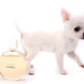 Vuitton Teacup SC Boy
