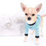 Liam Marcus Teacup Short Muzzle SC Boy