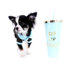 Pretty Lilo Teacup and loving boy.