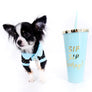 Pretty Lilo Teacup and loving boy.