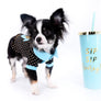 Pretty Lilo Teacup and loving boy.