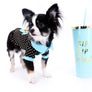 Pretty Lilo Teacup and loving boy.