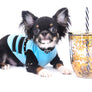 Birkin Doll Extreme Short Muzzle Boy