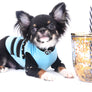 Birkin Doll Extreme Short Muzzle Boy