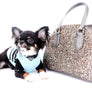 Birkin Doll Extreme Short Muzzle Boy