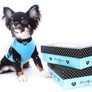 Birkin Doll Extreme Short Muzzle Boy