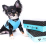 Birkin Doll Extreme Short Muzzle Boy