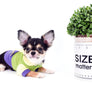 Lil Bsby Micro