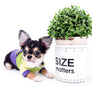 Lil Bsby Micro