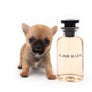 Prada SC Doll Face Boy