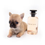 Melody Micro Teacup Sable Girl