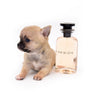 Melody Micro Teacup Sable Girl