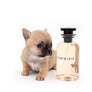 Melody Micro Teacup Sable Girl