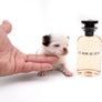 Suri LC white Chocolate Girl