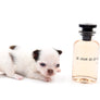 Suri LC white Chocolate Girl