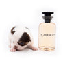 Lilly Nelly Extreme Short Muzzle White Chocolate Girl