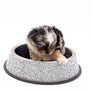 Alma Micro Blue Merle Boy