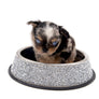 Alma Micro Blue Merle Boy