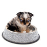 Alma Micro Blue Merle Boy
