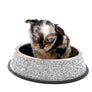 Alma Micro Blue Merle Boy