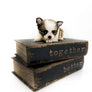 Panda Sally LC Girl