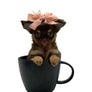 Lori LC Chocolate Girl