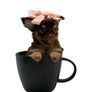 Lori LC Chocolate Girl