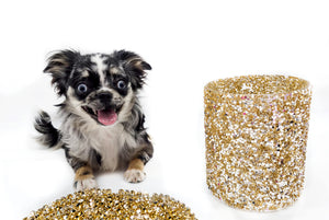 “Rare Find: Isla – Beautiful, Fully Grown, and Unbelievably Small!”